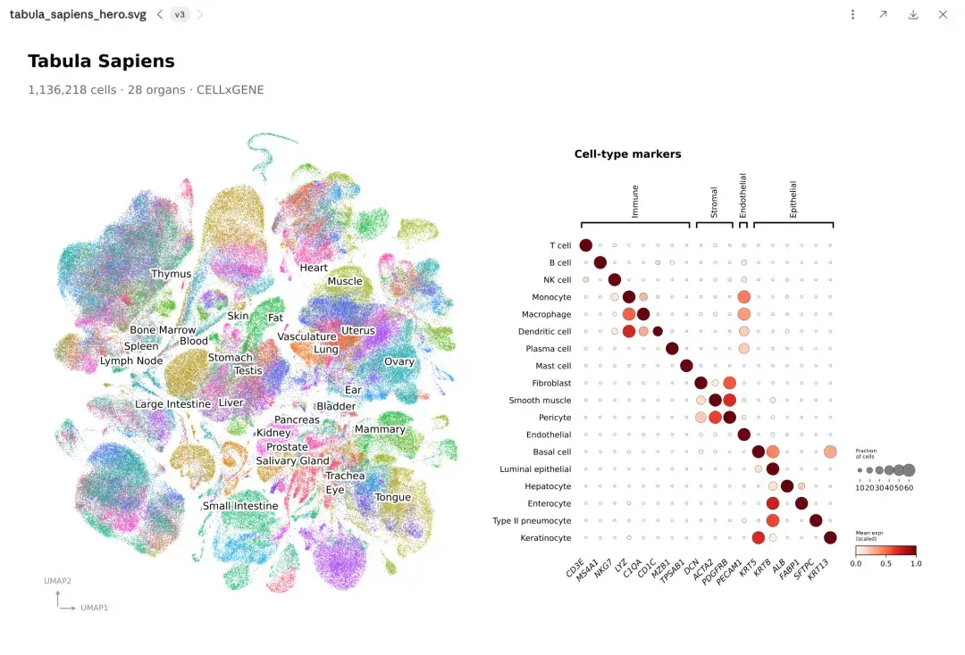 6a43a5f25539c9423e18b8a0_Single-cell-RNA-seq-p-1080